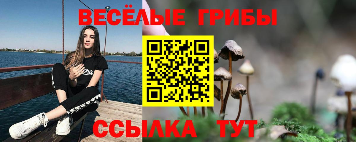 Псилоцибиновые грибы Psilocybine cubensis Обнинск
