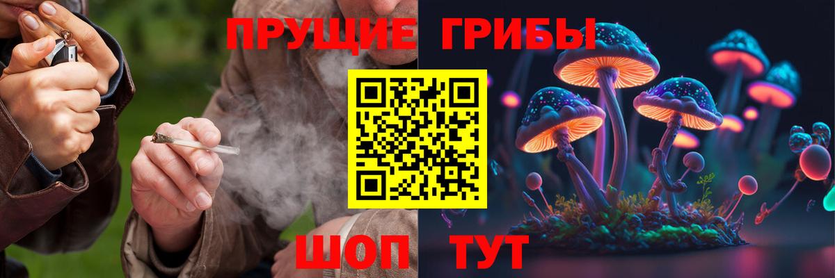 Галлюциногенные грибы ЛСД  Вход с VPN  Галлюциногенные грибы MAGIC MUSHROOMS  купить наркотики цена  Обнинск 